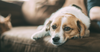 5 Mistakes Most Owners Make (And 1 You Probably Are Too)