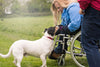 Dogs Are Man’s Best Buddies For A Good Reason