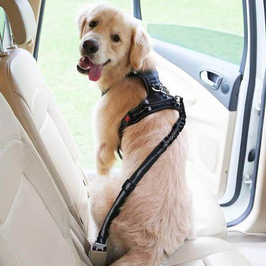 Hound Clip® Seat Belt